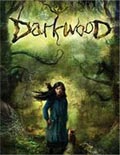 阴暗森林（Darkwood） 全版本七项修改器